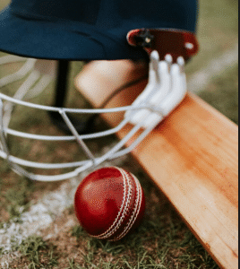 Cricket bat